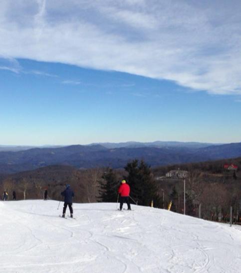 Monarch Mountain Cabins Cabin A Tennessee Thyme Elizabethton ภายนอก รูปภาพ